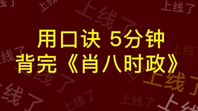 2024年10月25日 第64页