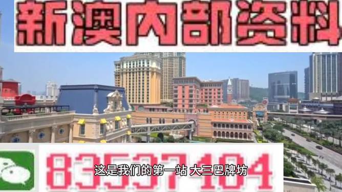 2024新澳门精准正版资料大全,高效解答解释落实_UHD款24.701