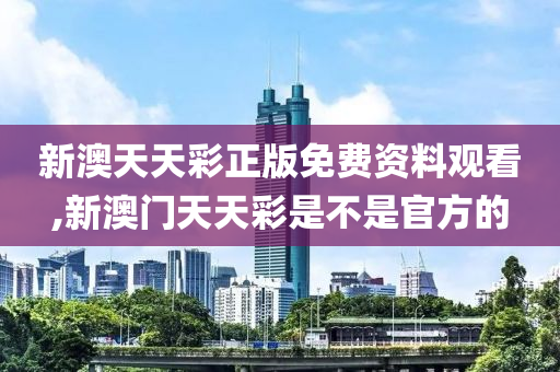 新澳天天彩免费资料查询,标准化实施程序解析_升级版9.124