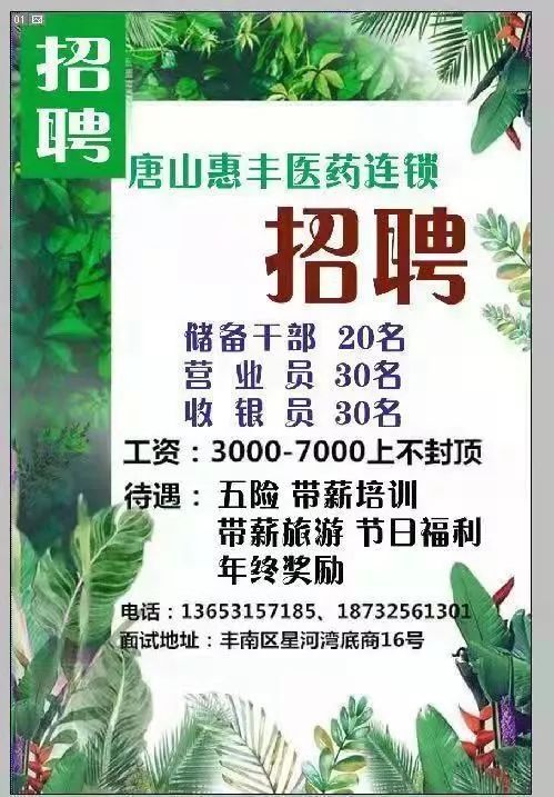 丰南人才网最新招聘信息