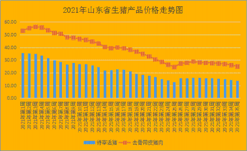 山东省今日生猪价格最新动态报告