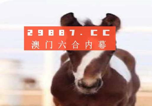 澳门一肖一码100,权威诠释推进方式_豪华版180.300