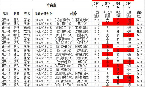 二四六天天彩资料免费大全24,数据驱动执行方案_精英版201.123