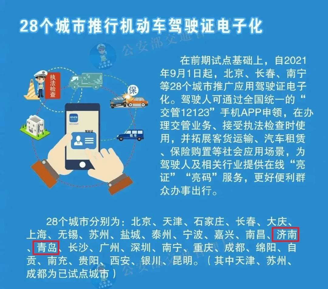 新澳门2024免费资料大全集,实用性执行策略讲解_专业版150.205