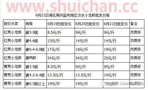 2024全年资料免费大全优势,科学化方案实施探讨_豪华版180.300