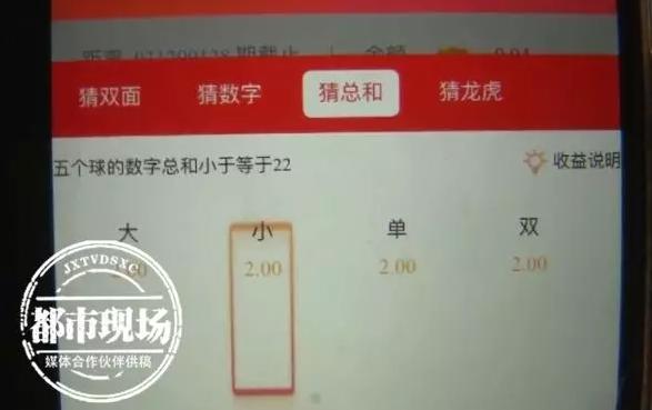 一码一肖100%精准,定性评估说明_限量款60.206