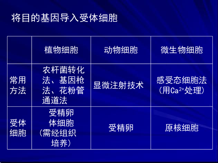 2004新澳精准资料免费提供,科技成语分析落实_游戏版256.183