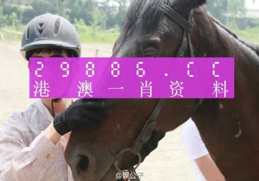 澳门一肖一码必中一肖是什么,正确解答落实_经典版172.312