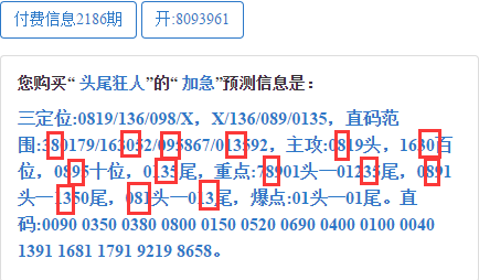 最准一肖一码一一子中特37b,稳定性计划评估_试用版48.263