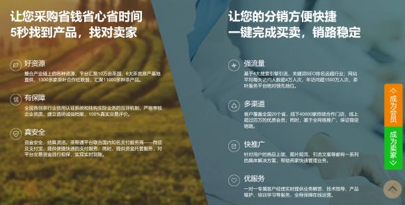 澳门三肖三马精准100%,诠释解析落实_黄金版3.236