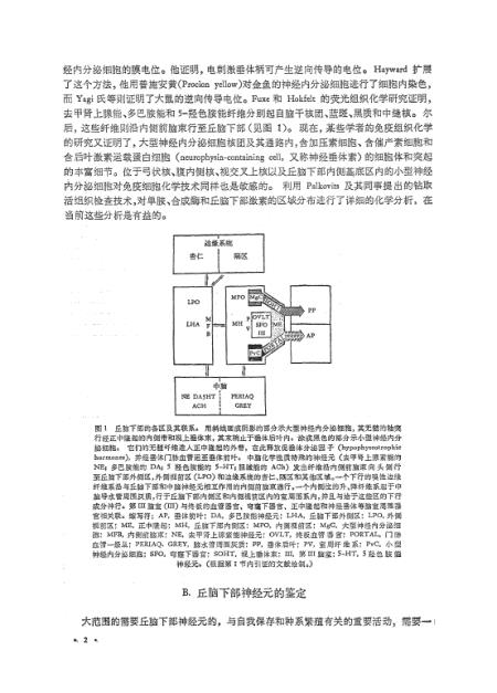 新奥门特免费资料,前沿研究解释定义_注释集61.77