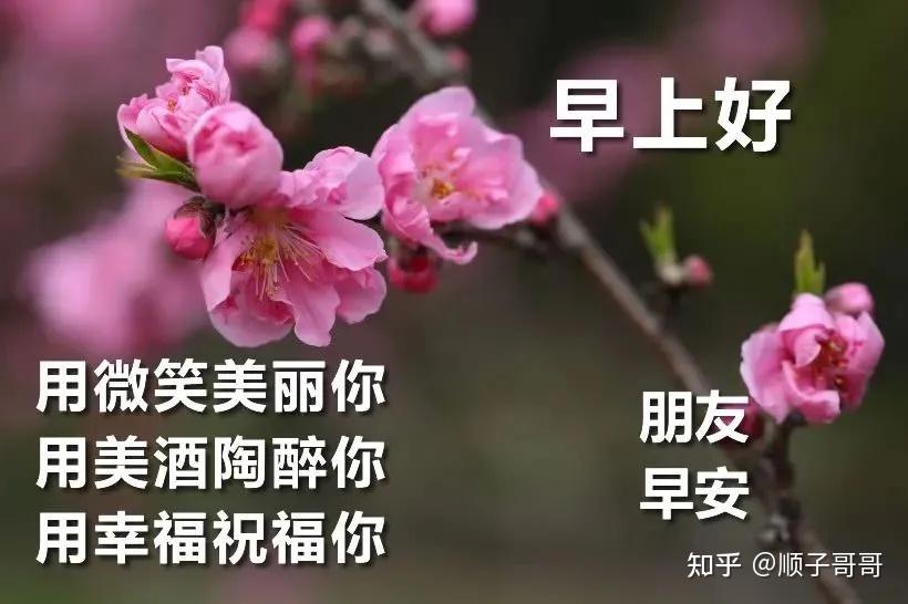 重生之军长早上好，晨间重逢的甜蜜故事