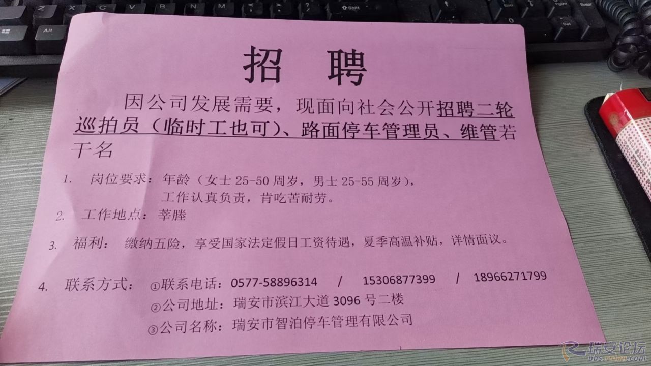 遂溪最新临时工招聘信息概览