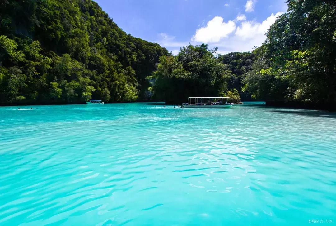 帕劳水母湖最新探索发现之旅揭秘